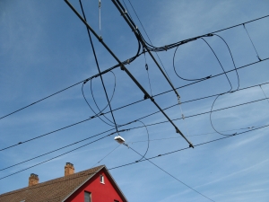 Fora i strony o elektryce